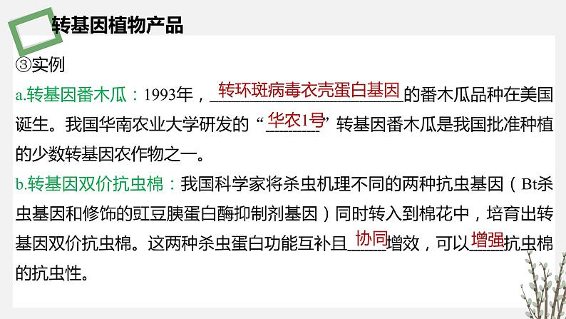 4.1 转基因产品的安全性 课件 高中生物新苏教版选择性必修第8页