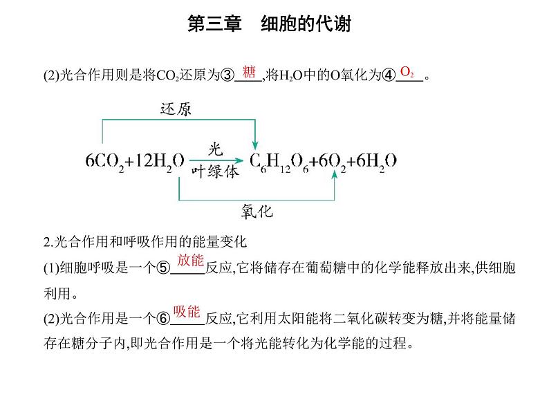 第三章第五节 光合作用将光能转化为化学能 课件(43张)-高中生物新浙科版(2019)必修103