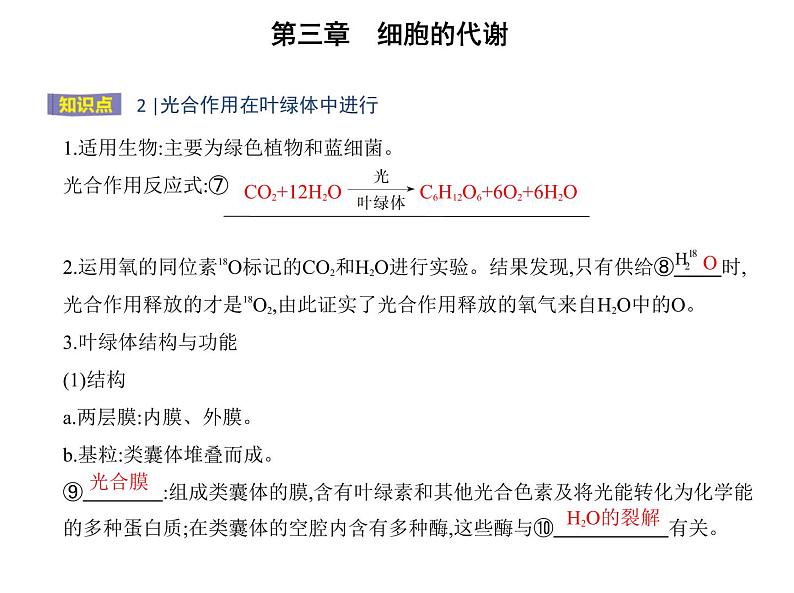 第三章第五节 光合作用将光能转化为化学能 课件(43张)-高中生物新浙科版(2019)必修105