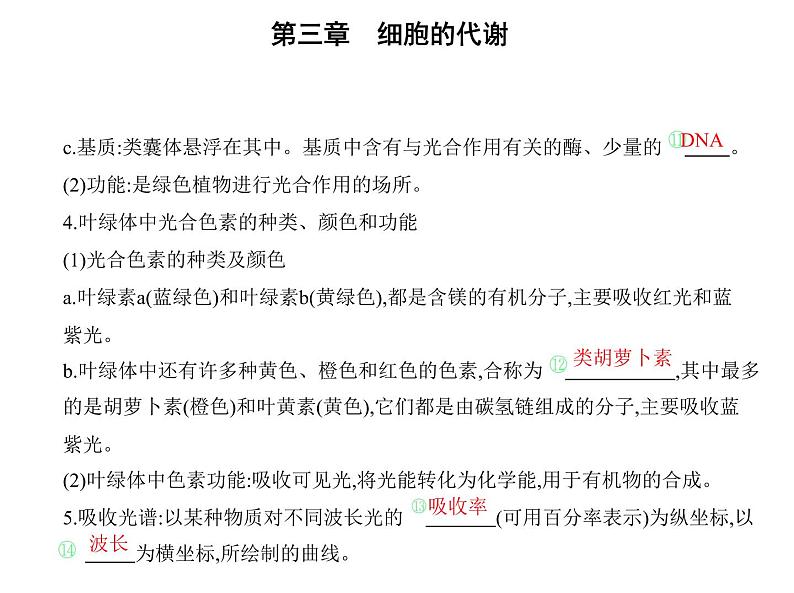 第三章第五节 光合作用将光能转化为化学能 课件(43张)-高中生物新浙科版(2019)必修106