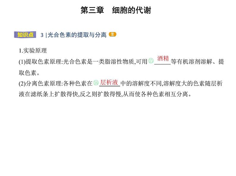 第三章第五节 光合作用将光能转化为化学能 课件(43张)-高中生物新浙科版(2019)必修107
