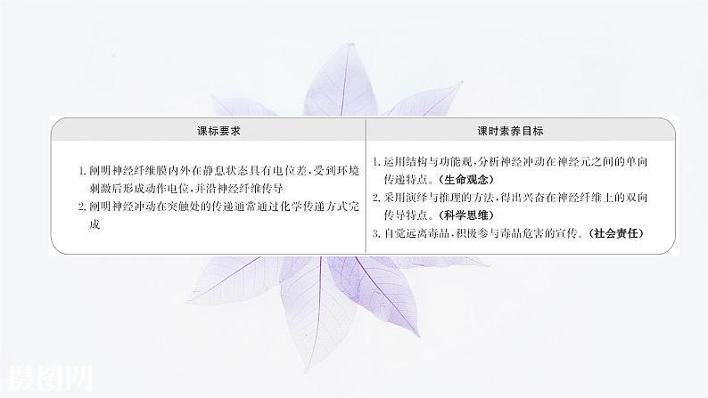 第二章 第二节 神经冲动的产生和传导 课件(51张)-高中生物新浙科版(2019)选择性必修102