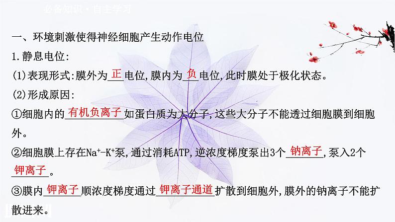 第二章 第二节 神经冲动的产生和传导 课件(51张)-高中生物新浙科版(2019)选择性必修103