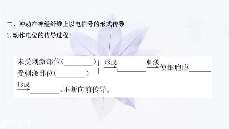 第二章 第二节 神经冲动的产生和传导 课件(51张)-高中生物新浙科版(2019)选择性必修107