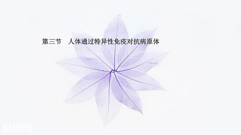 第四章 第三节 人体通过特异性免疫对抗病原体 课件(50张)-高中生物新浙科版(2019)选择性必修101