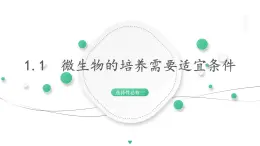 1.1  微生物的培养需要适宜条件 课件 高中生物新浙科版选择性必修3