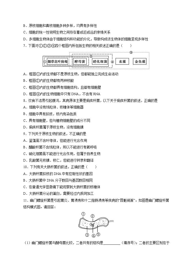 第1章第2节 细胞的多样性和统一性第2页