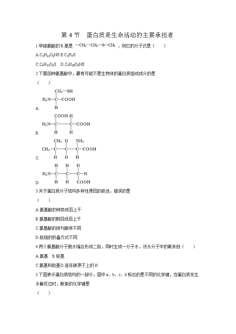 第2章第4节 蛋白质是生命活动的主要承担者第1页