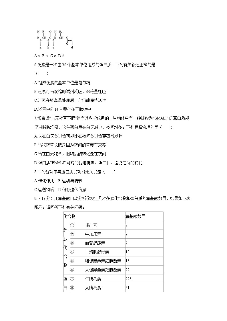 第2章第4节 蛋白质是生命活动的主要承担者第2页