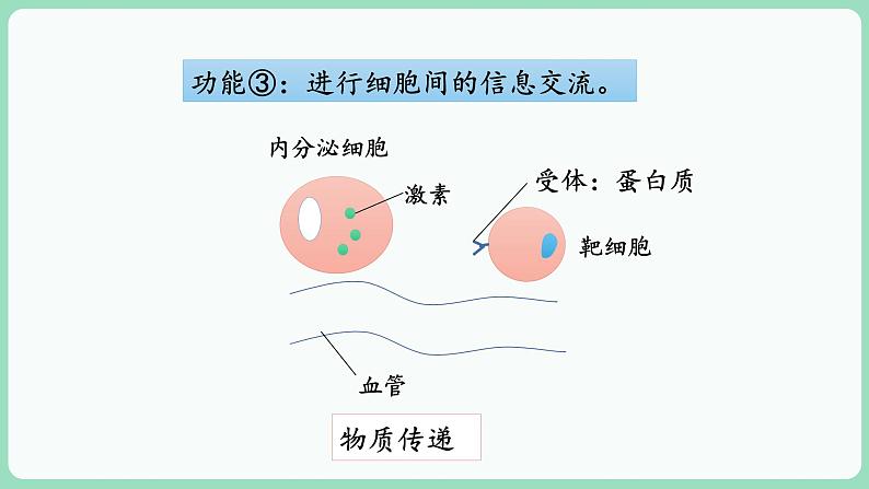 第3章第1节细胞膜的结构和功能第6页