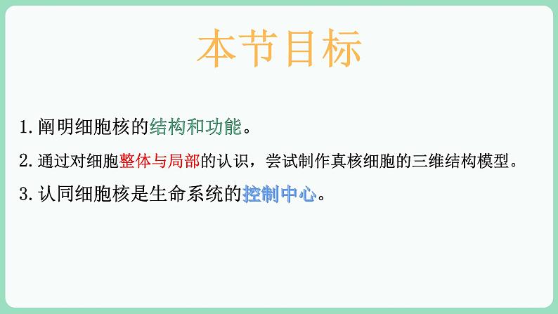 3.3 细胞核的结构和功能(课件+练习)-2022-2023学年高一上学期生物人教版(2019)必修102