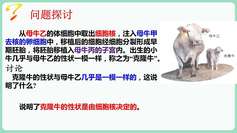 3.3 细胞核的结构和功能(课件+练习)-2022-2023学年高一上学期生物人教版(2019)必修103