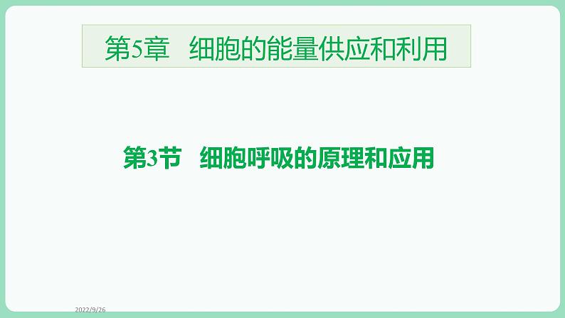 第5章第3节 细胞呼吸的原理和应用第1页