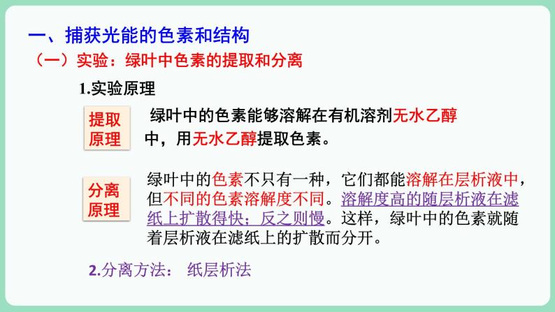 5.4.1 捕获光能的色素和结构（课件+练习）-2022-2023学年高一上学期生物人教版（2019）必修104