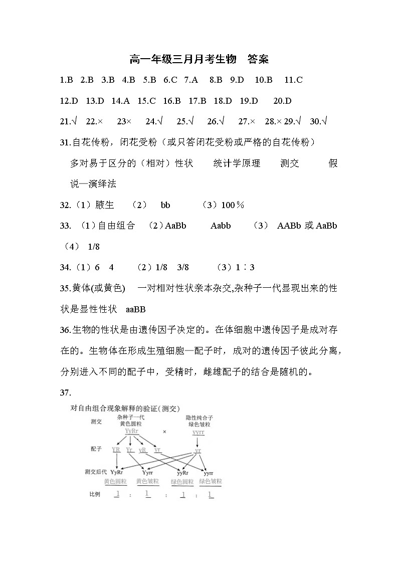 高一年级三月月考答案第1页
