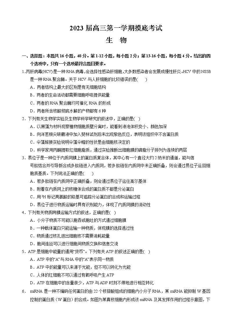 2023届广东省珠海市重点高中高三上学期摸底考试-生物(Word版)01