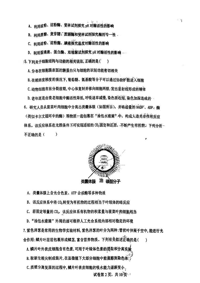 2023铁岭六校协作体高三上学期第一次联考试题生物PDF版含答案02
