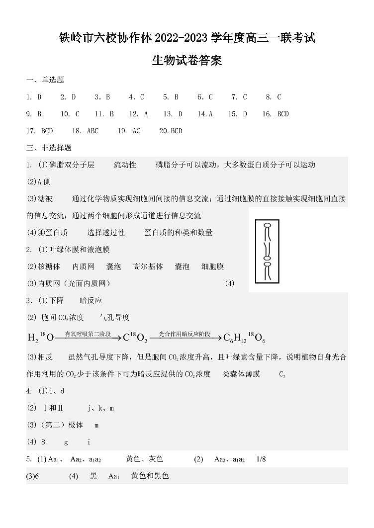 2023铁岭六校协作体高三上学期第一次联考试题生物PDF版含答案01