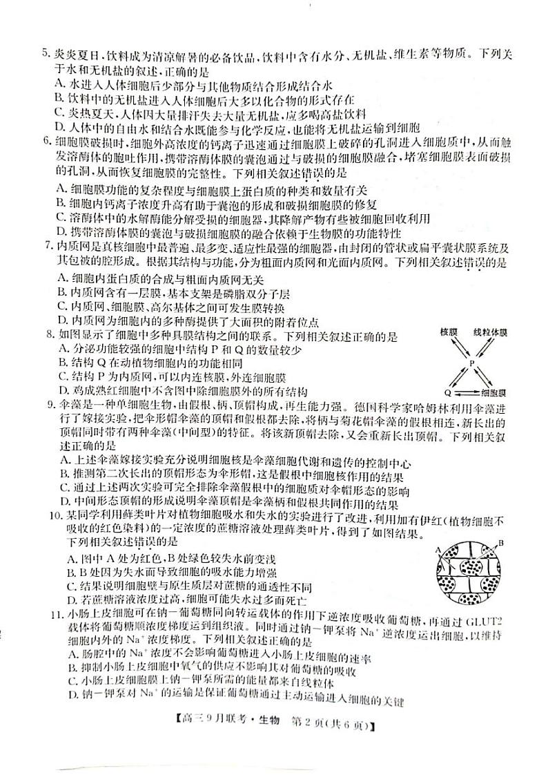 生物试题第2页