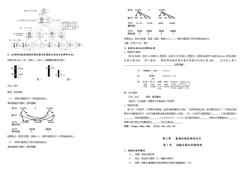 （首版）生物必修二   知识归纳（2019版）03