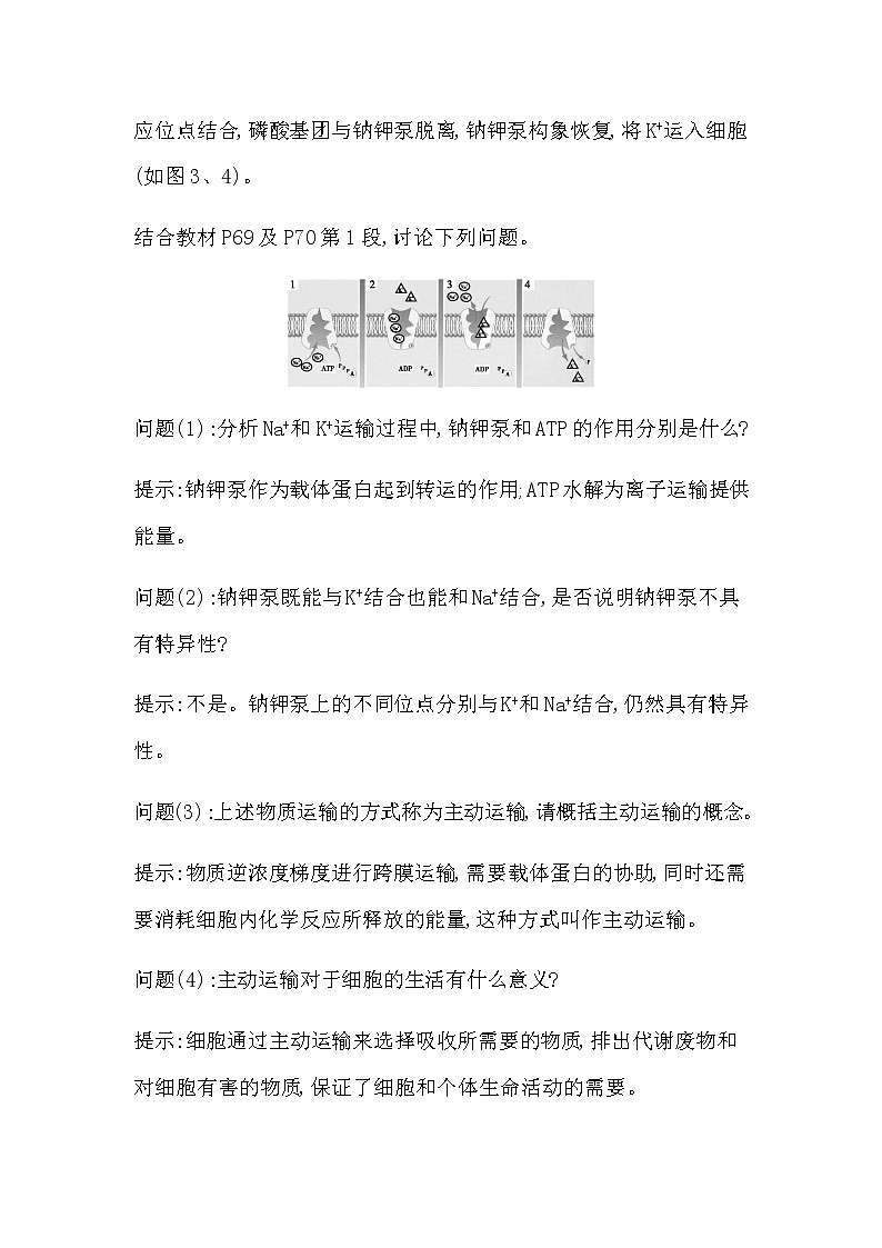 第2節(jié)　主動(dòng)運(yùn)輸與胞吞、胞吐第2頁(yè)