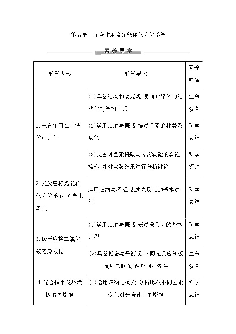 第五節(jié)　光合作用將光能轉(zhuǎn)化為化學(xué)能第1頁(yè)