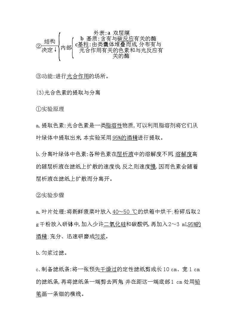 第五節(jié)　光合作用將光能轉(zhuǎn)化為化學(xué)能第3頁(yè)
