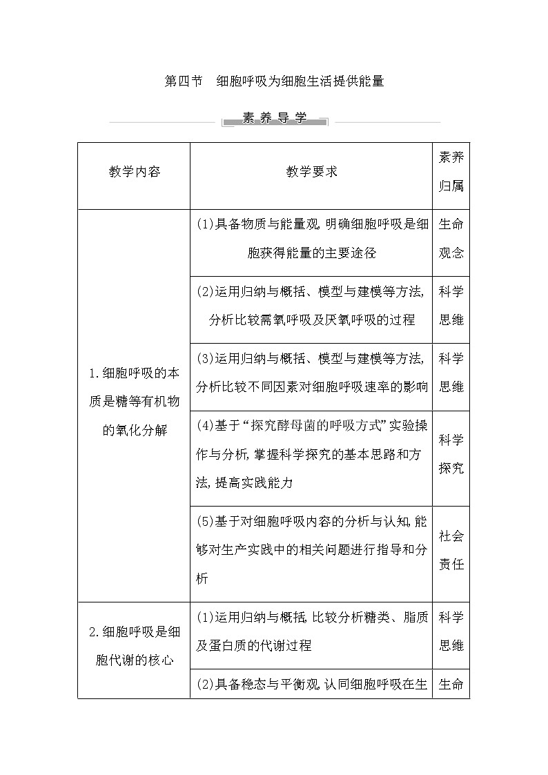 第四節(jié)　細(xì)胞呼吸為細(xì)胞生活提供能量第1頁(yè)