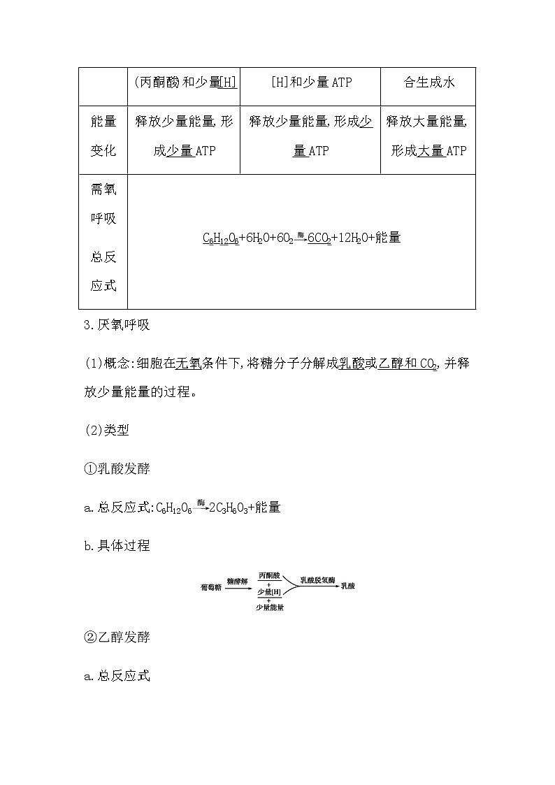 第四節(jié)　細(xì)胞呼吸為細(xì)胞生活提供能量第3頁(yè)