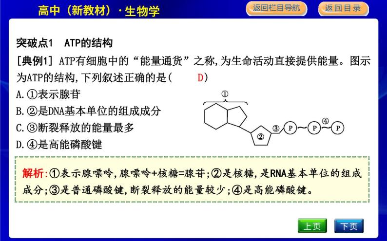 浙科版高中生物必修1分子与细胞第三章细胞的代谢课时PPT课件08