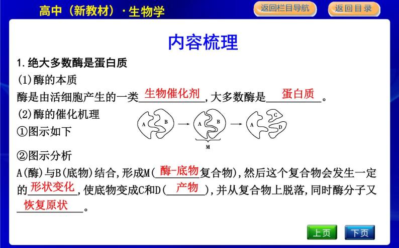 浙科版高中生物必修1分子与细胞第三章细胞的代谢课时PPT课件05