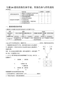 专题14 遗传的染色体学说、性染色体与伴性遗传学生版