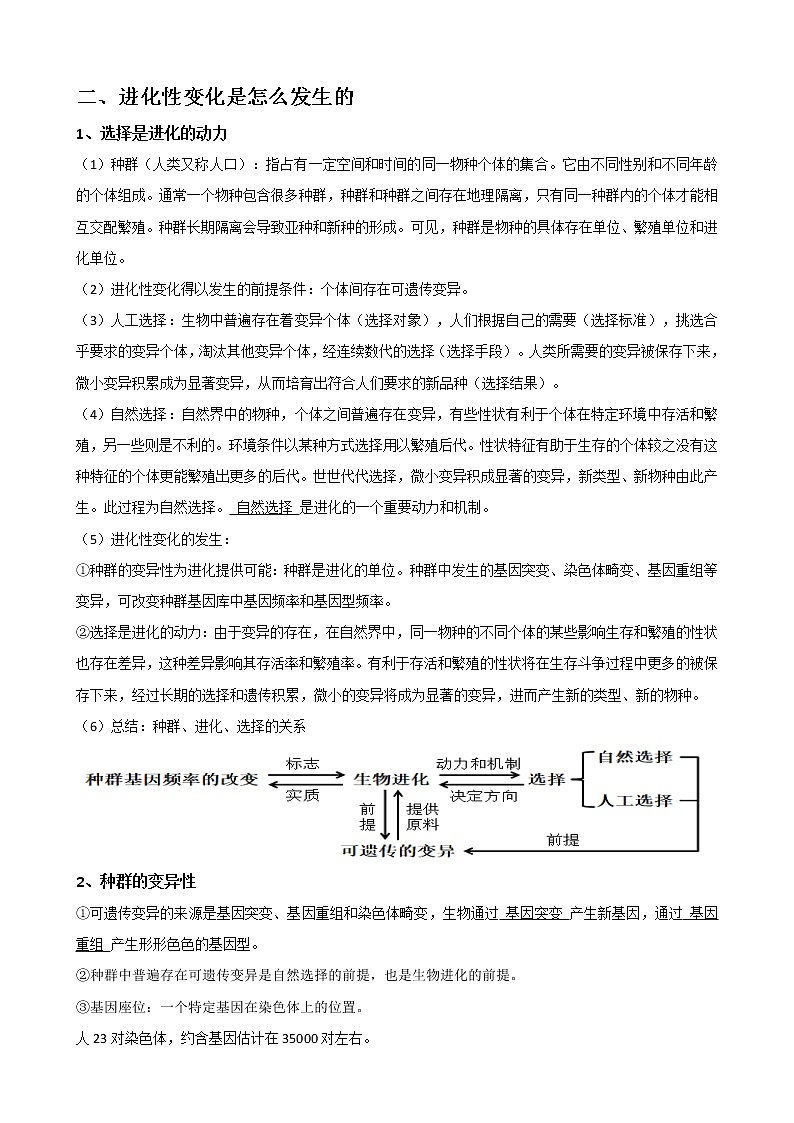 专题17 生物的进化教师版第3页