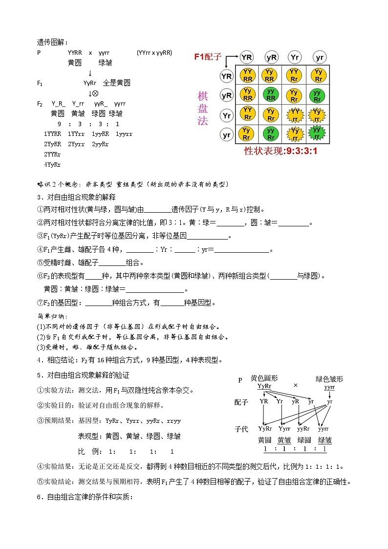 专题13 自由组合定律 学生版第2页