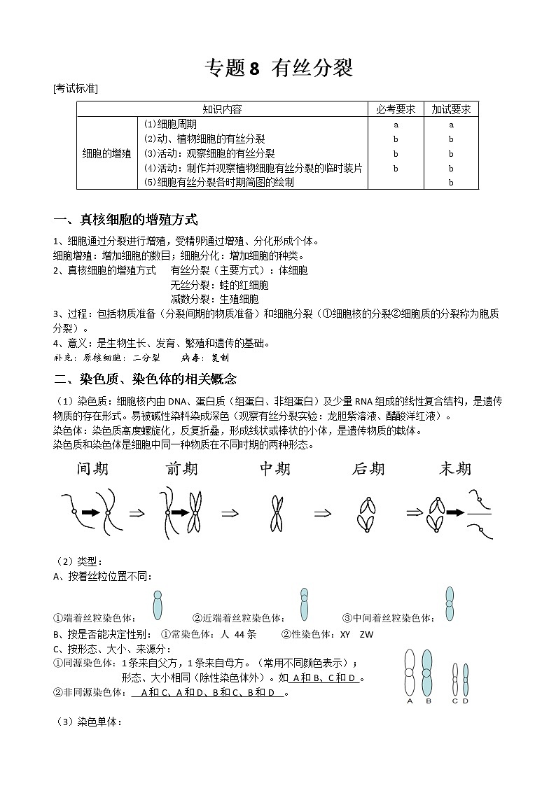 专题8 有丝分裂教师版第1页