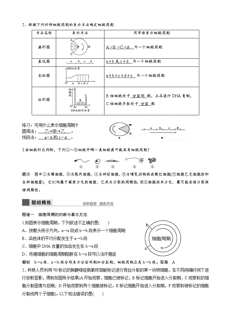 专题8 有丝分裂教师版第3页