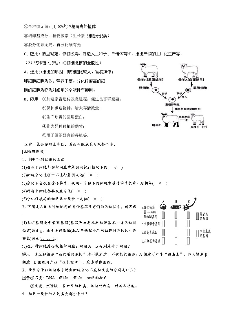 专题9 细胞的分化、衰老、凋亡教师版第3页