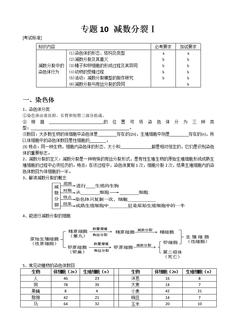 专题10 减数分裂学生版01