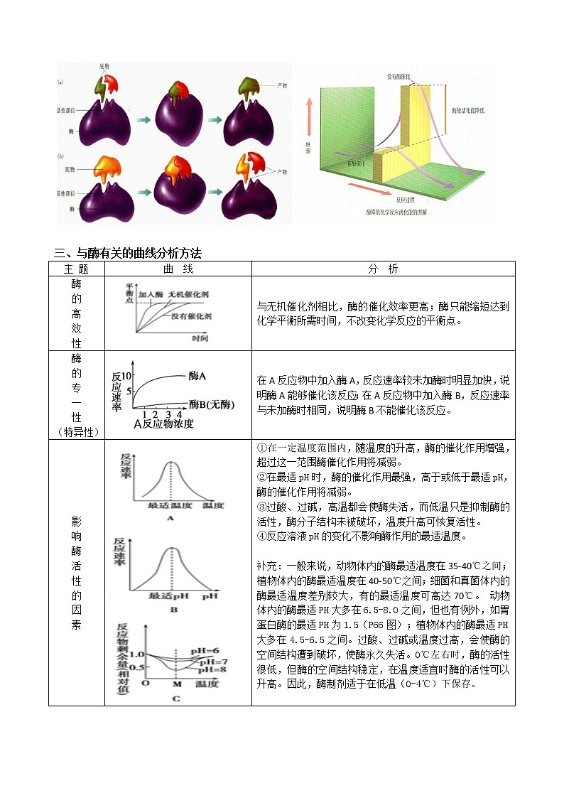 专题5 酶(教师版)修改版第2页
