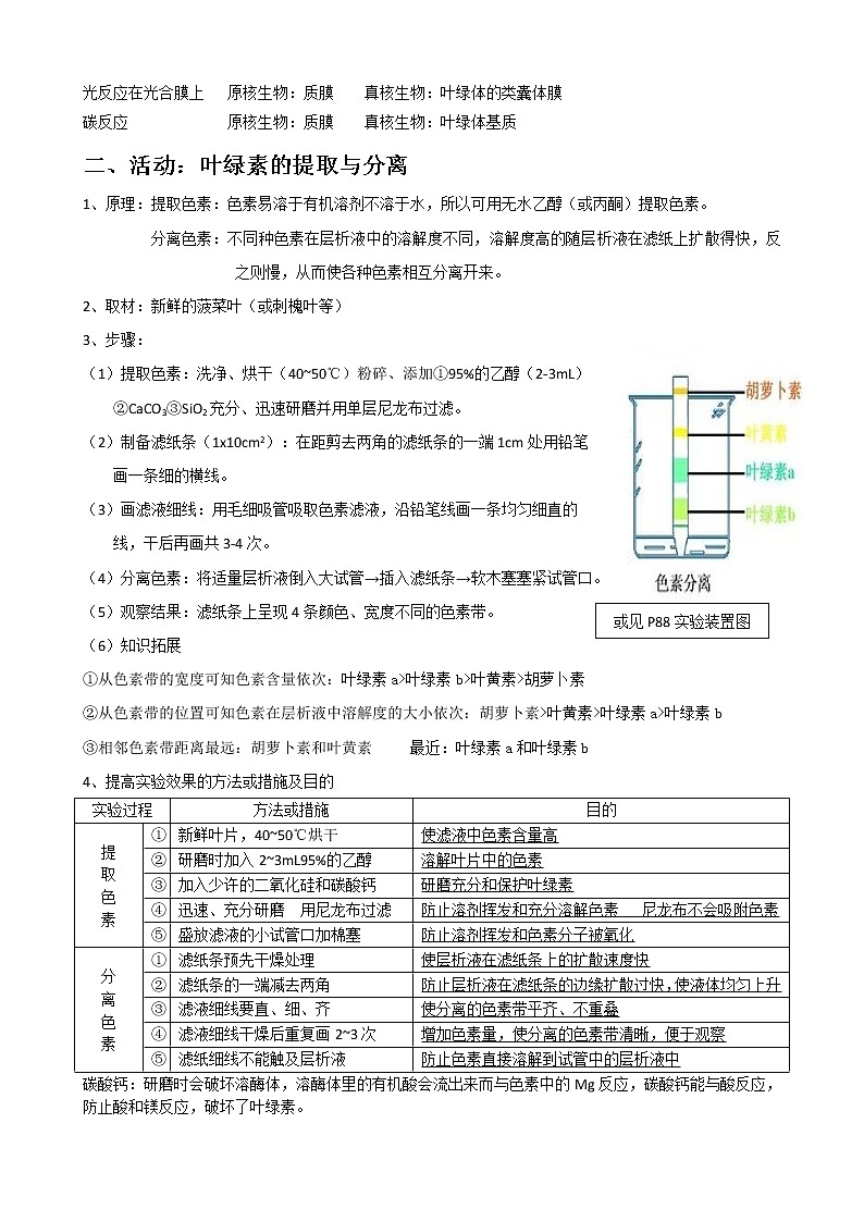 专题7 光合作用教师版第2页