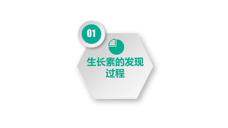 第五章:第1节:植物生长课件高中生物人教选择性必修一第4页