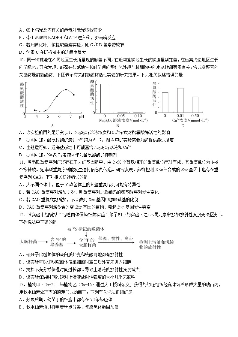 陕西省安康市2021-2022学年高三上学期第一次教学质量联考生物试题(含答案)03