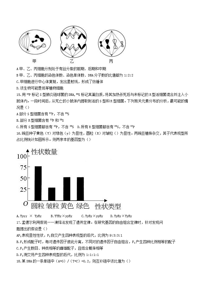 甘肃省张掖市2022-2023学年高三上学期第一次诊断考试生物试题(含答案)第3页