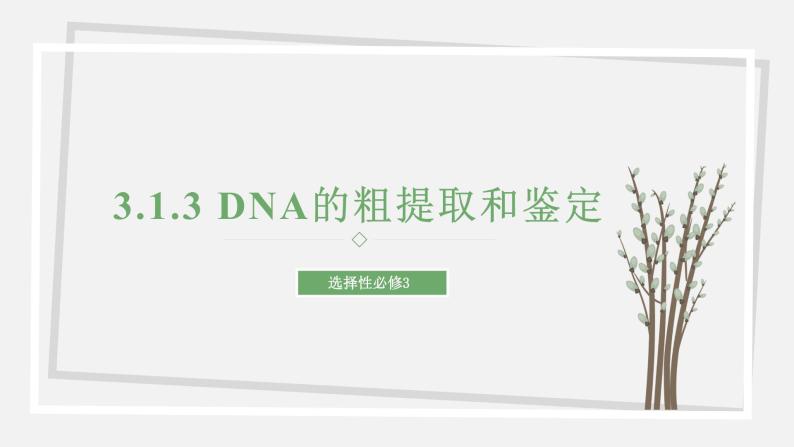 3.1.3 DNA的粗提取和鉴定 课件 高中生物新苏教版选择性必修301