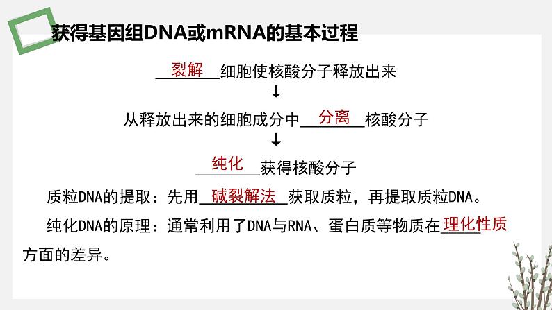 3.1.3 DNA的粗提取和鉴定 课件 高中生物新苏教版选择性必修3第3页