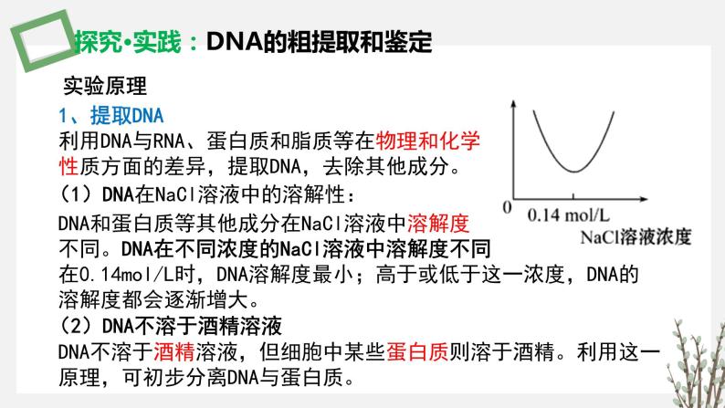 3.1.3 DNA的粗提取和鉴定 课件 高中生物新苏教版选择性必修304