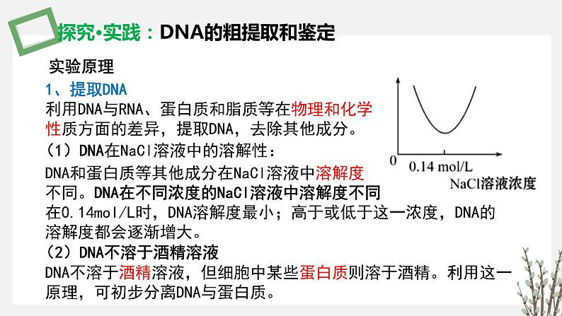 3.1.3 DNA的粗提取和鉴定 课件 高中生物新苏教版选择性必修3第4页