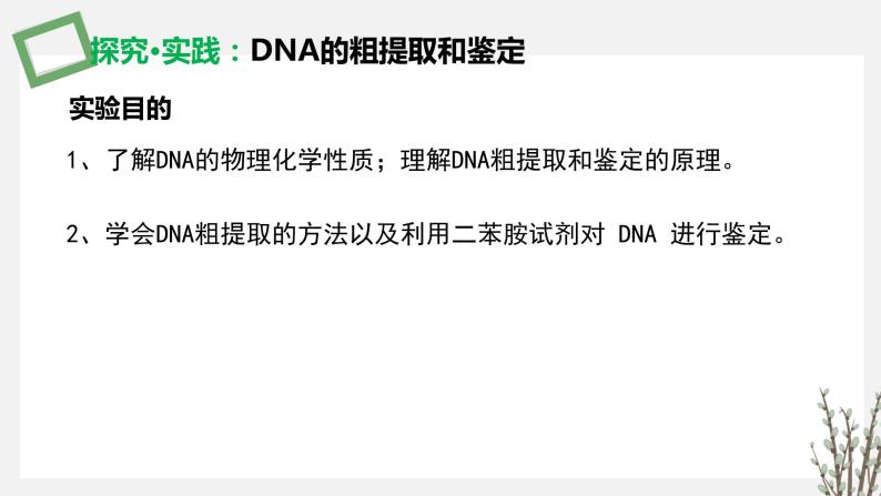 3.1.3 DNA的粗提取和鉴定 课件 高中生物新苏教版选择性必修306
