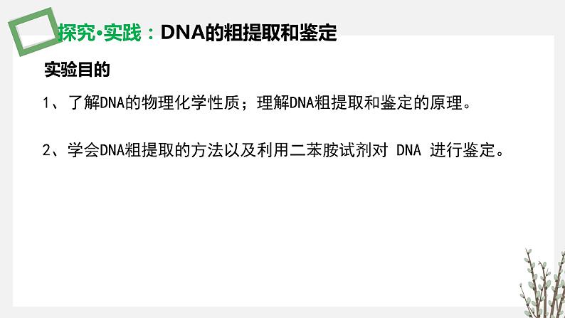 3.1.3 DNA的粗提取和鉴定 课件 高中生物新苏教版选择性必修3第6页