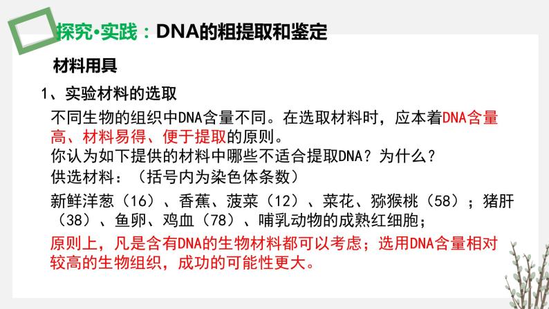 3.1.3 DNA的粗提取和鉴定 课件 高中生物新苏教版选择性必修307